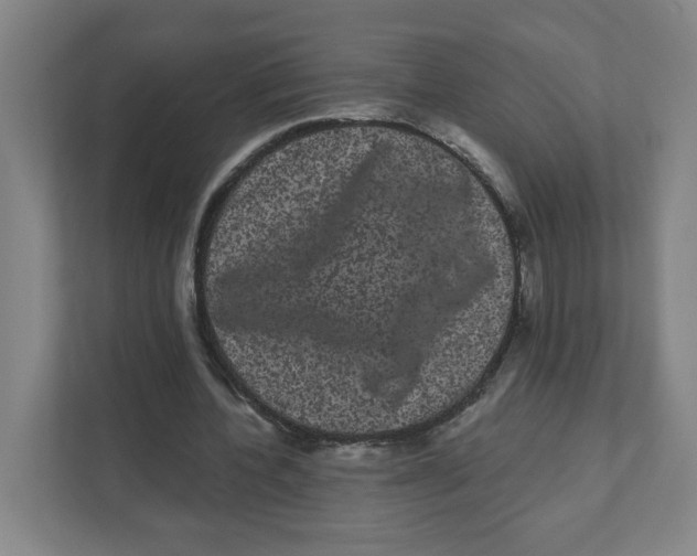 X0000111460532200908101056