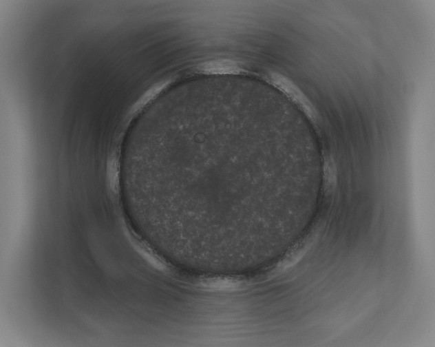 X0000111460533200908101056