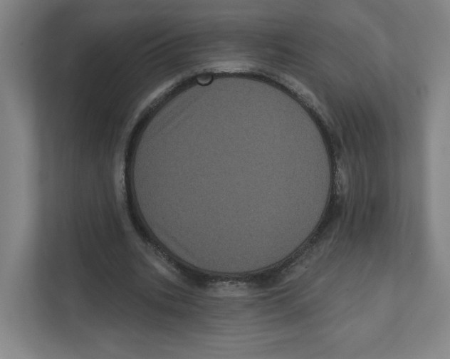 X0000111460535200908101056