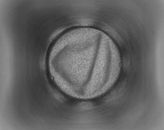 X0000111460536200908101056