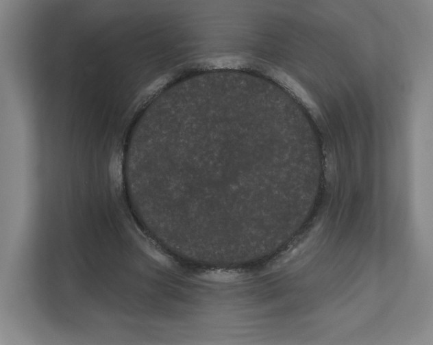 X0000111460537200908101056