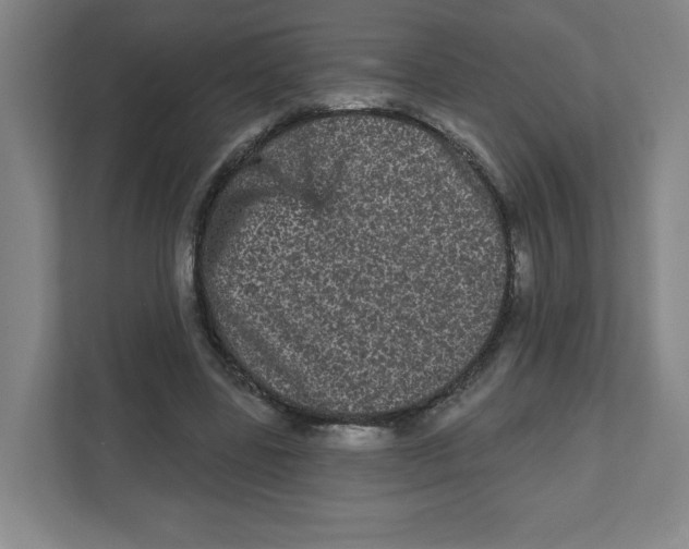 X0000111460539200908101056