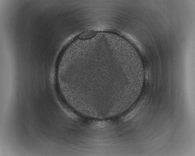 X0000111460540200908101056