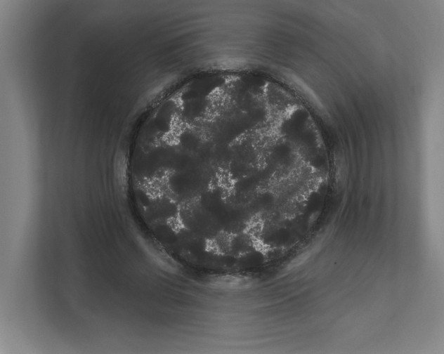 X0000111460542200908101056
