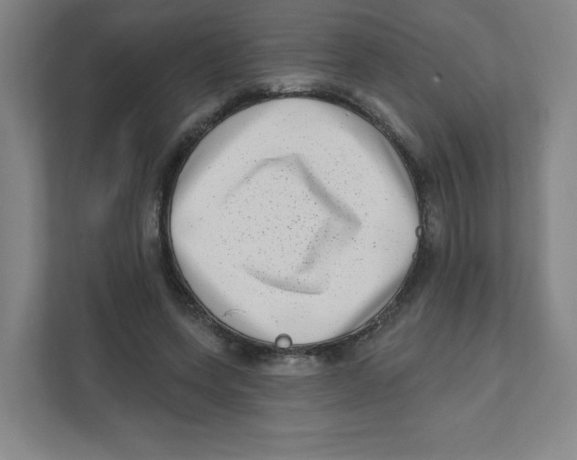 X0000111460543200908101056