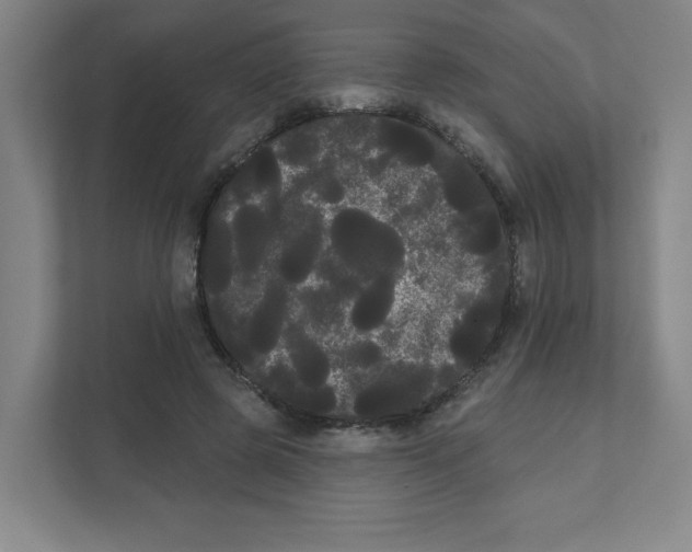 X0000111460545200908101056