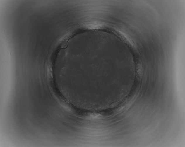 X0000111460547200908101056