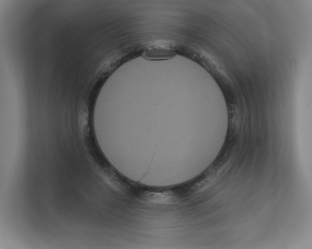 X0000111460548200908101056