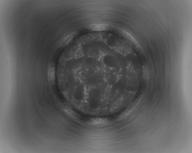 X0000111460549200908101056