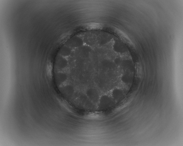 X0000111460550200908101056