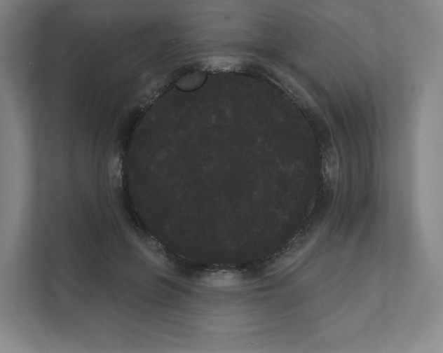 X0000111460551200908101056
