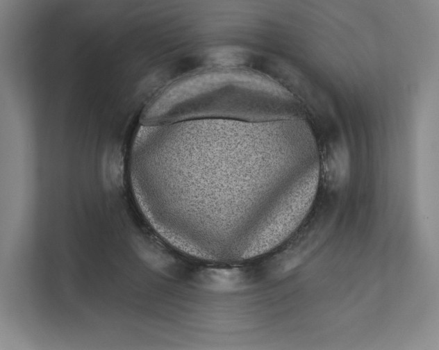 X0000111460552200908101056