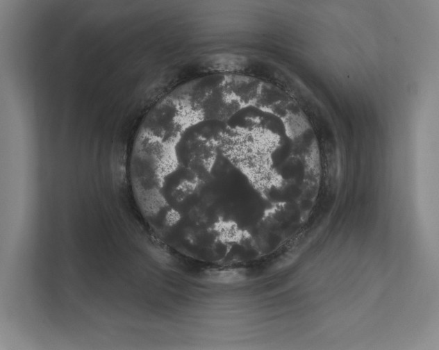 X0000111460553200908101056
