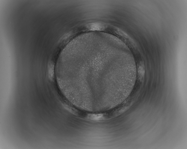 X0000111460554200908101056