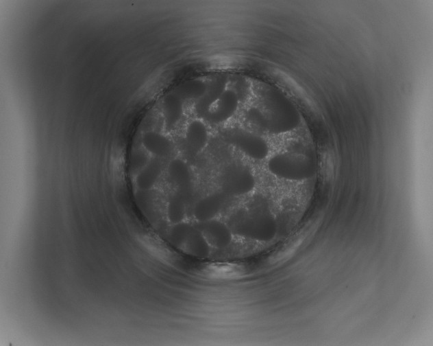 X0000111460557200908101057
