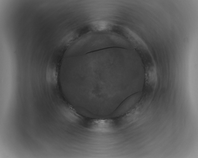 X0000111460558200908101057