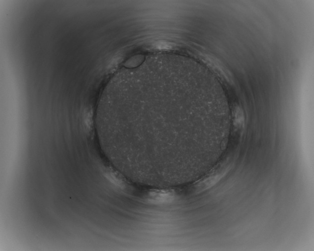 X0000111460559200908101057