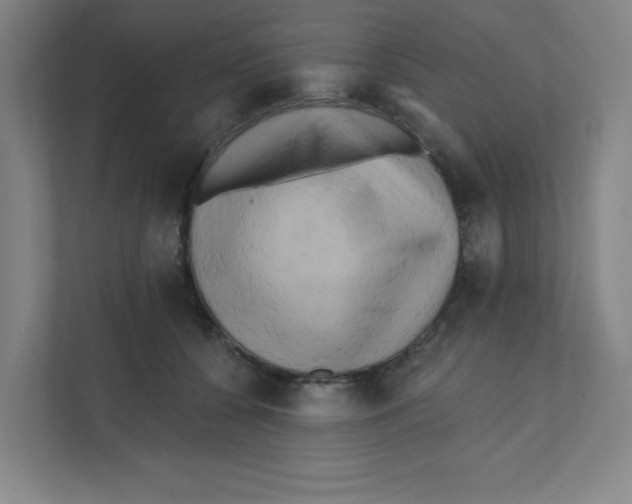 X0000111460560200908101057