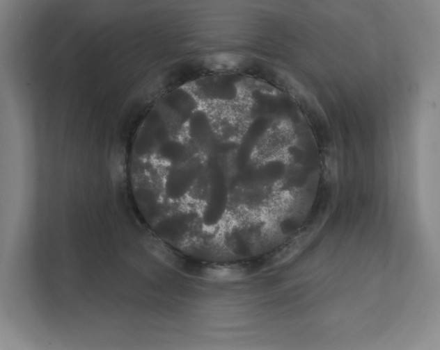 X0000111460561200908101057