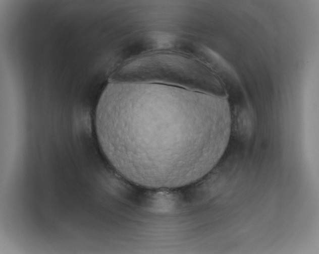 X0000111460562200908101057