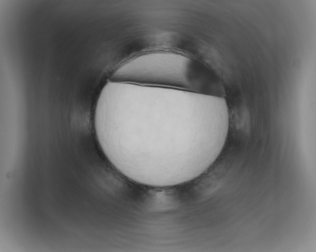 X0000111460564200908101057