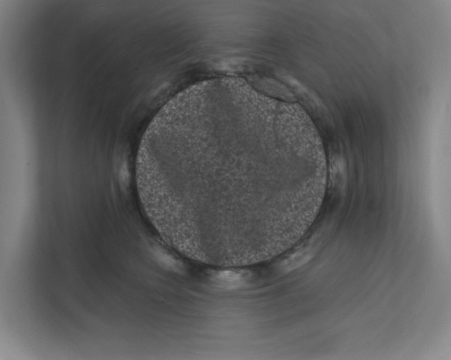 X0000111460566200908101057