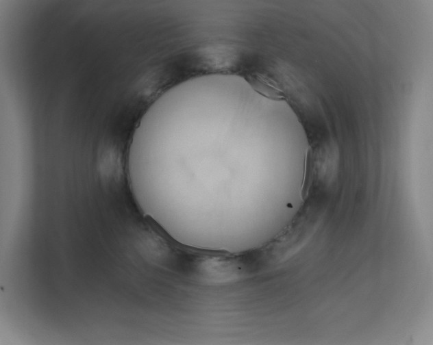 X0000111460568200908101057