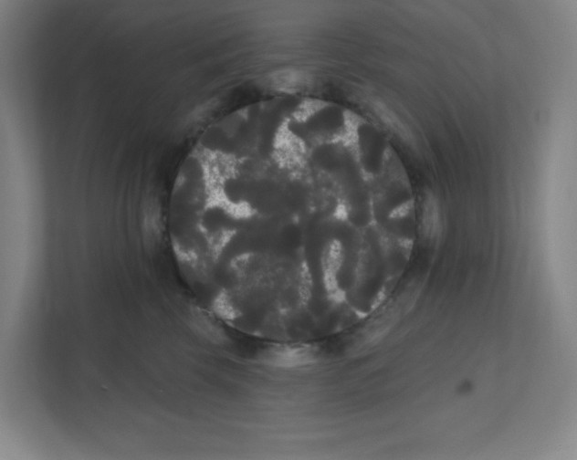 X0000111460569200908101057