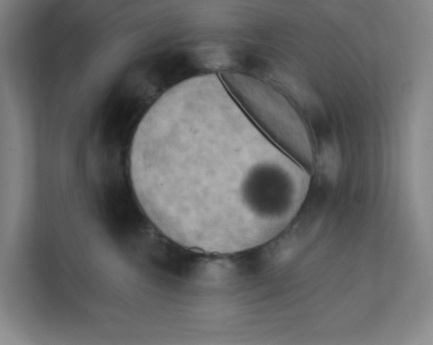 X0000111460572200908101057