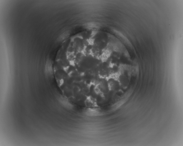X0000111460573200908101057