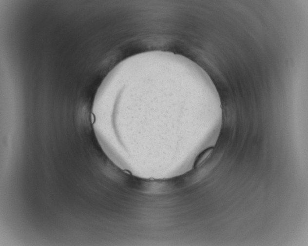 X0000111460575200908101057