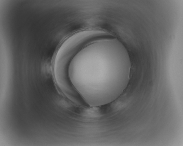 X0000111460576200908101057