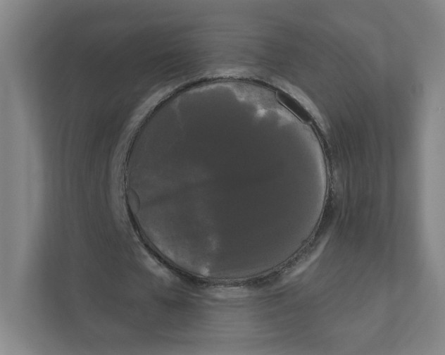 X0000111460577200908101056