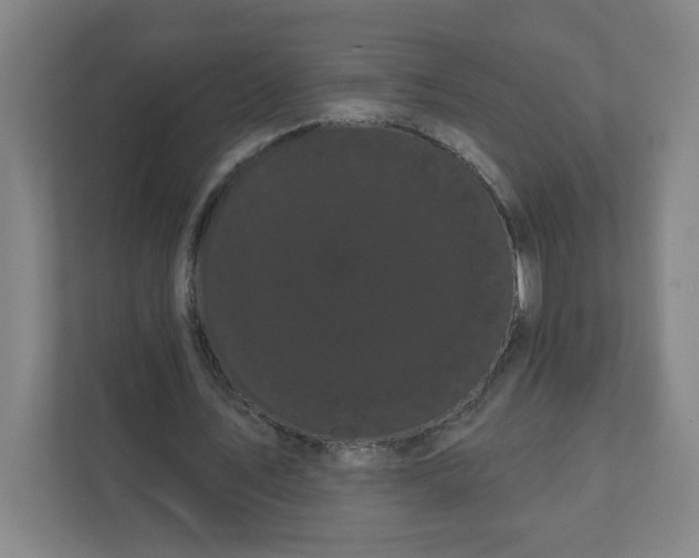 X0000111460579200908101056