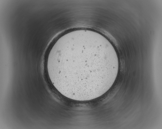 X0000111460580200908101056