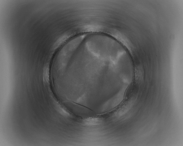 X0000111460581200908101056