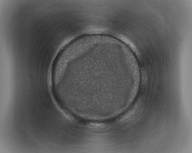 X0000111460582200908101056