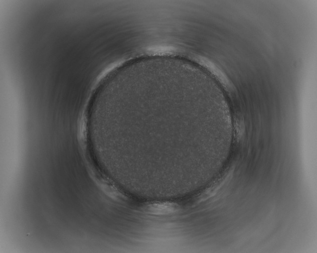 X0000111460583200908101056