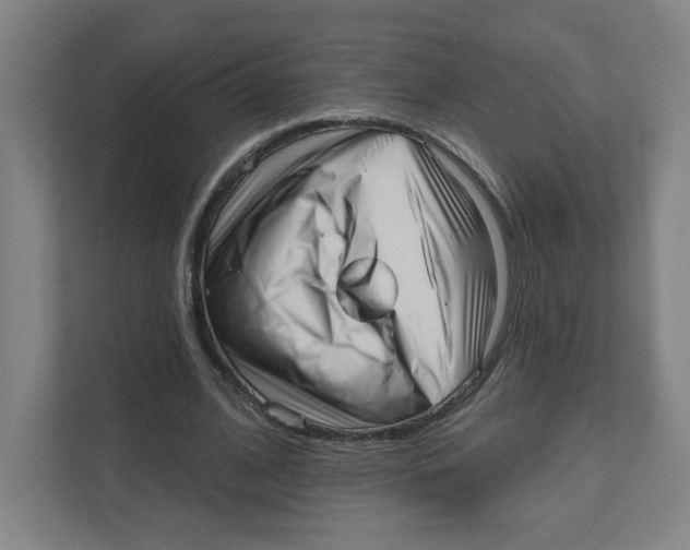 X0000111460584200908101056