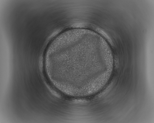 X0000111460586200908101056