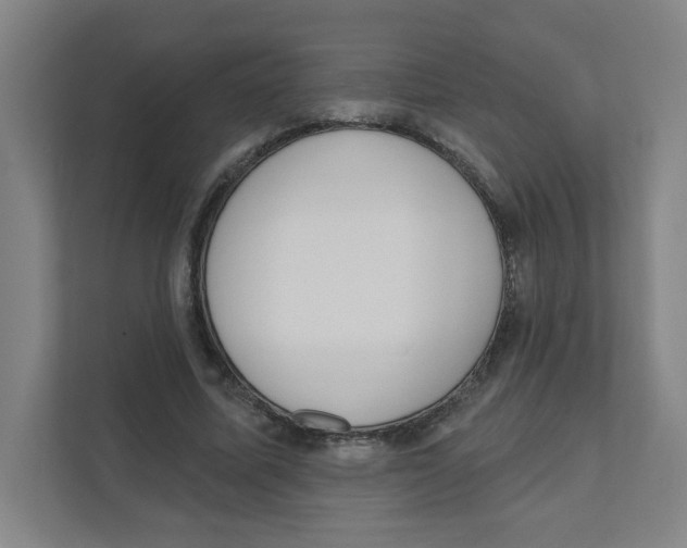 X0000111460587200908101056