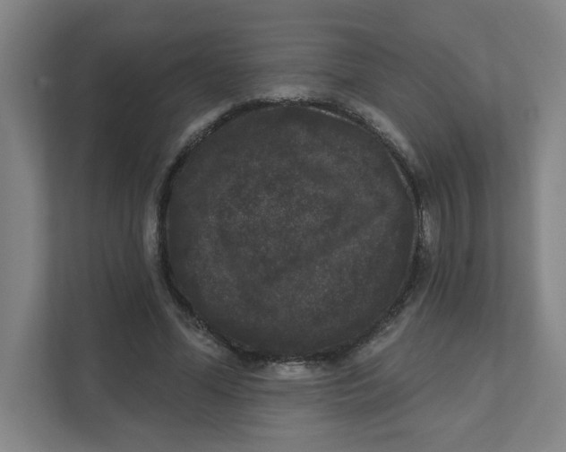 X0000111460588200908101056