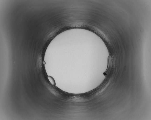 X0000111460589200908101056