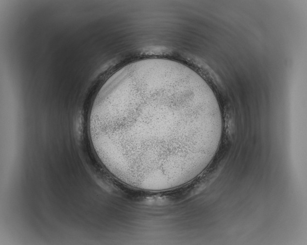 X0000111460591200908101056