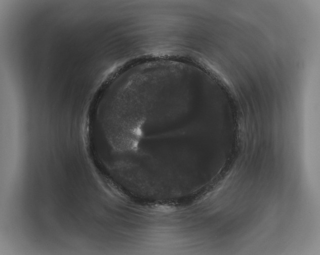 X0000111460592200908101056
