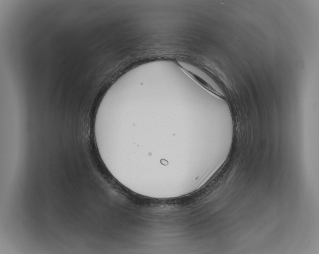 X0000111460593200908101056