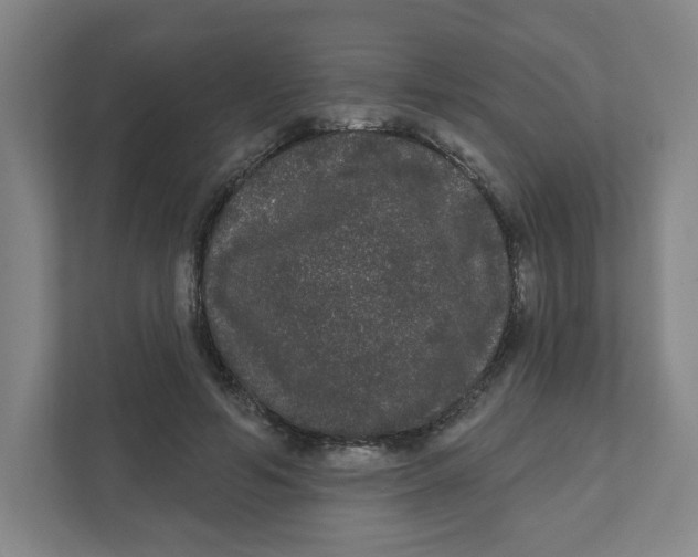 X0000111460594200908101056
