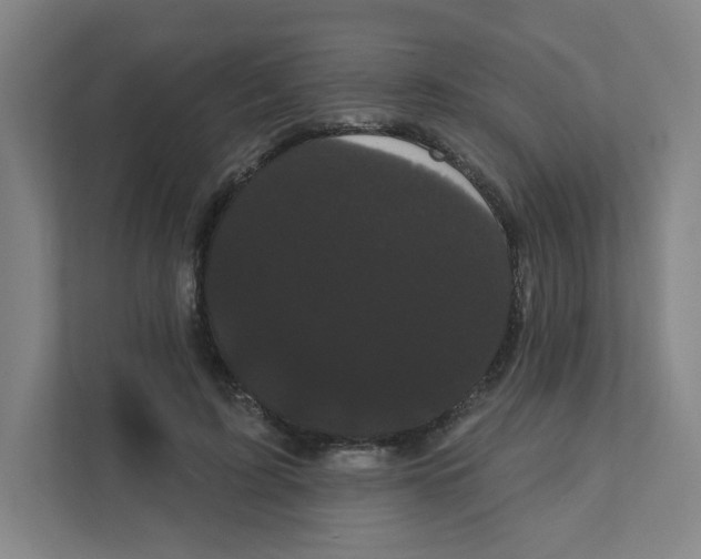 X0000111460595200908101056