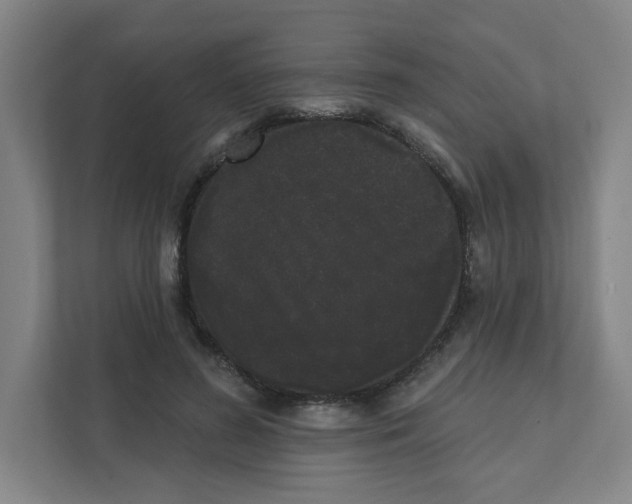 X0000111460596200908101056