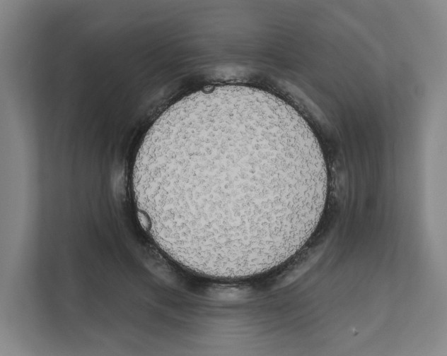 X0000111460597200908101056